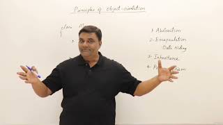 C++ OOPs 🔥in One Shot | Object Oriented Programming | Placement Course