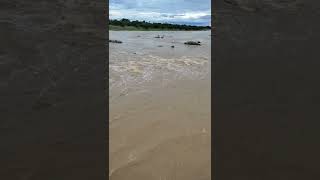 high levels water flow at  ong River #River#water#dam please🙏🙏🙏 Subscribe this channel