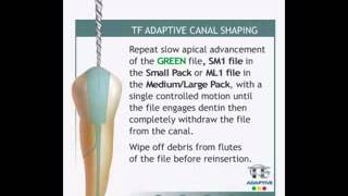 TF Adaptive From Axis SybronEndo