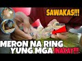 NAG SINGSING TAYO NG INAKAY NA KALAPATI || TUTORIAL || #07