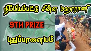 Nimmiyampattu chinna Maharani 5.06sec |9th prize |புதுப்பாளையம் வீதி |Tamizhrock