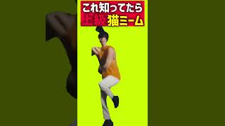 これ知ってる人いる？ダンス猫ミームmeme! #shorts