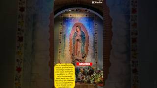 Poderosa oración ala Virgen de Guadalupe#catolico#oracion#elyrodriguez1762#virgen#viralvideo#fe