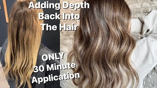 ONLY 30 MINUTE Application | Adding Depth Back into The hair | MINIMAL 2 Tone Foil Work