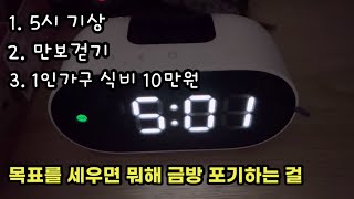 50대 혼자  사는 독거노처녀 혼밥 집밥1인가구 식비 10만원 도전 일상브이로그 Vlog