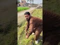 part20 oy taya neache aa gya hai full funy comedy viral tereding videos sucribe like share videos