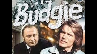 British TV Comedy-Drama: Budgie - Where are they now?