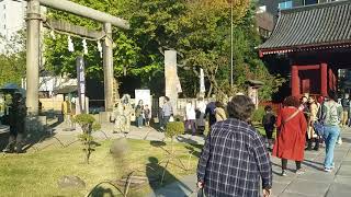 七五三で浅草神社🎊次は青い顔の彼がいた‼️