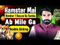 Be in Top 1% in Hamster Kombat 🐹| Get Maximum Airdrop | Hamster Kombat Latest Update | Albarizon