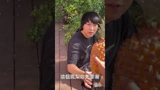 台灣釋迦鳳梨 vs 韓國人 Taiwan snack pine vs Korean guy