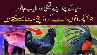 Most Expensive Animals in the World | دنیا کے مہنگے ترین جانور