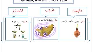 دروس الفصل الثاني في التربية العلمية للسنة الثالثة ابتدائي الجزء 1