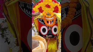 Ratha Yatra At Kostha || Morning Vlogs yt #youtubeshorts #jayjagannath #rathayatra #ytshort