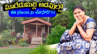 మారేడుమిల్లి అడవుల అందాలు తప్పక చూడండి/maredumilli famous places/maredumilli tourism@Tribal-planet