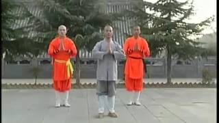 少林拳基本功 Shaolin Kung Fu basic skills 1