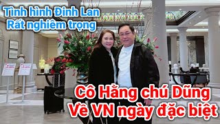 Tình hình Đinh Lan rất nghiêm trọng cô Hằng chú Dũng về VN ? | Gấc Việt