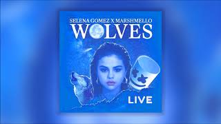Selena Gomez - Wolves Live at the AMA's (Studio Version)