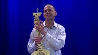 Neck Pain and Disk Problems-Conservative Options