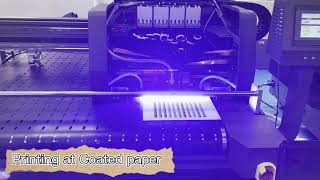 New Upgrade !!!Sunthinks One Pass UV Digital Flatbed Printer