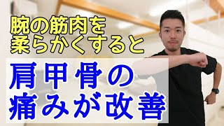 肩甲骨の痛みを改善！前腕の筋膜リリース　“神奈川県大和市中央林間　いえうじ総合治療院”