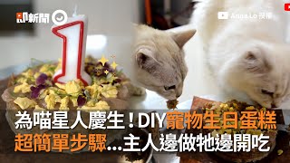 為貓咪慶生！超簡單步驟DIY寵物生日蛋糕～恭喜1歲啦！｜寵物｜貓咪
