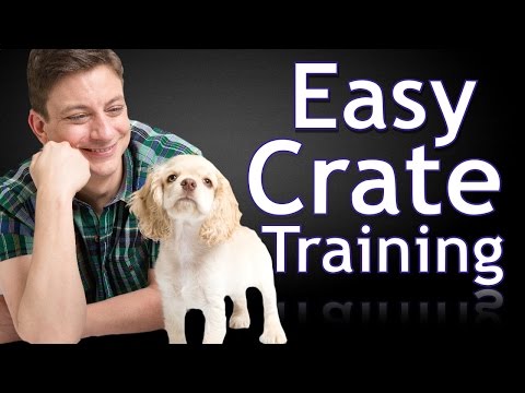 How to Crate Train a Puppy How to Crate Train a Puppy