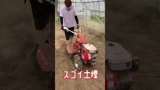 トマト苗植えつけ準備　ハウスの準備　管理機で土煙