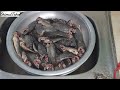 ৫০ টা কৈ মাছ মাত্র ১৫ মিনিটে কাটার সহজ উপায় how to cut fish in a short time