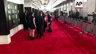 Tracking shot down Grammy Awards' red carpet