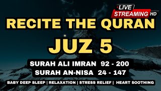 Recite The Quran Juz 5 Full | Live Streaming HD