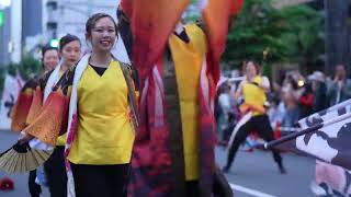 札幌市立大学～真花～　第32回YOSAKOIソーラン祭り　2023年6月9日　Funky!すすきの会場