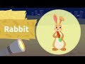 farm animals for kids vocabulary fo kids