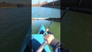 Kanu Tour auf dem Rhein in Düsseldorf 2025 🚣‍♂️POV Germany 2025 #germany #düsseldorf