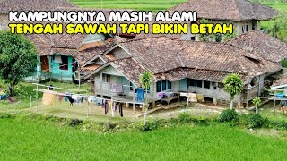 Sungguh Amat Indah Pemandangan Alam Di Kampung Pojok, Suasana Kampung Yang Masih Alami