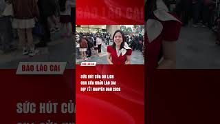Sức hút của du lịch qua Cửa khẩu Lào Cai dịp Tết Nguyên đán 2026 | THLC
