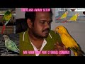 MV  FARM VISIT PART 2 | SMALL CONURES COLLECTION |  பறவைப் பண்ணை |TOP CLASS AVIARY SETUP IN CHENNAI|