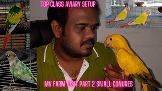 MV  FARM VISIT PART 2 | SMALL CONURES COLLECTION |  பறவைப் பண்ணை |TOP CLASS AVIARY SETUP IN CHENNAI|