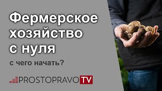 Фермерское хозяйство с нуля: с чего начать?