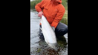 Atlantic salmon fly fishing in Norway 2022