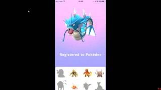 【Pokemon Go】終於塞爆鯉魚王個肚＝》進化鯉魚龍