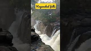 ಹೊಗೆನಕಲ್ ಜಲಪಾತ-hogenakal falls