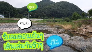 แวะเดินเล่นรับลมใกล้ๆบ้าน ฟังเสียงน้ำไหลเพลินๆ|ชีวิตในเกาหลี