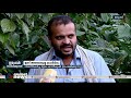 ഇന്ന് അന്താരാഷ്ട്ര കാപ്പി ദിനം international coffee day coffee cultivation