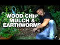 My Free-Range Worm Farm: With Wood Chip Mulch for Soil Building