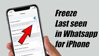 Freeze Your Last Seen On Whatsapp in iPhone | How to freeze last seen on whatsapp in ios (iPhone)
