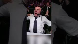 Joe Rogan Reacts to Leon Edwards Knocking Out Kamaru Usman