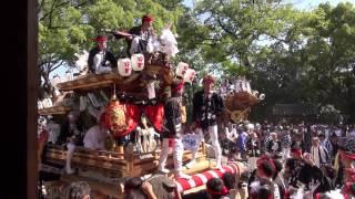 羽曳野市 白鳥神社例祭 古市だんじり祭2013 宮入り 中町の口上、俄