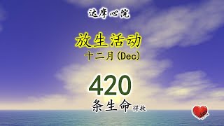 放生活动 (2020-12 十二月)  420 条生命  达摩心院