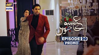 Aye Ishq e Junoon Episode 20 | Promo | Ushna Shah | Sheheryar Munawar | ARY Digital