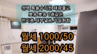 [[거래완료]]특올수리 된 거실환한 1층같은 반지층. 월세1000/50 혹은 2000/45 둘다가능.채광좋고 내부넓은 투룸☎️문의 010-4061-9123